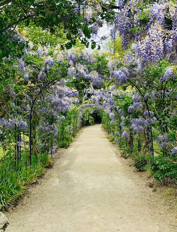 Cultural Village Experience